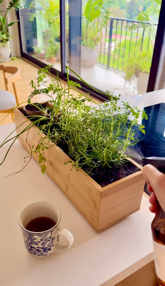 Indoor herb garden kit, Grow your own herbs kit, Herb seed kit for beginners, Sustainable gardening kit, Smart herb garden, Indoor herb planter kit, Kitchen herb garden