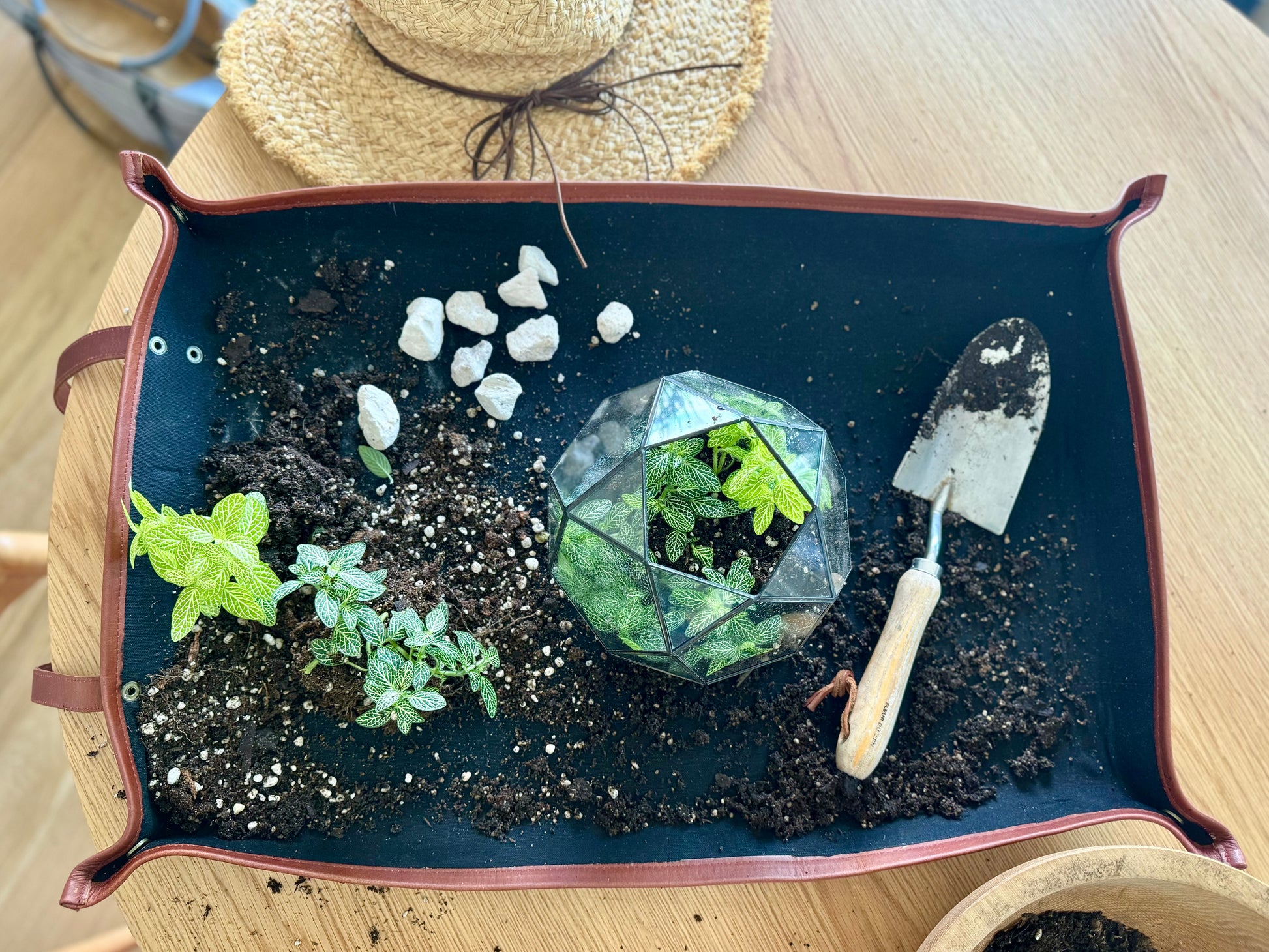 repotting mat gardening canvas water resistant mess control garden tools gardening tools gardening supplies
garden soil indoor garden
garden tool set indoor gardening repotting mat garden accessories garden supplies gardening pots garden tools gardening tools gardening supplies
garden soil indoor garden
garden tool set indoor gardening repotting mat garden accessories garden supplies gardening pots, planters & accessories repotting mat for indoor plants vegetable garden garden fork outdoor garden gardening