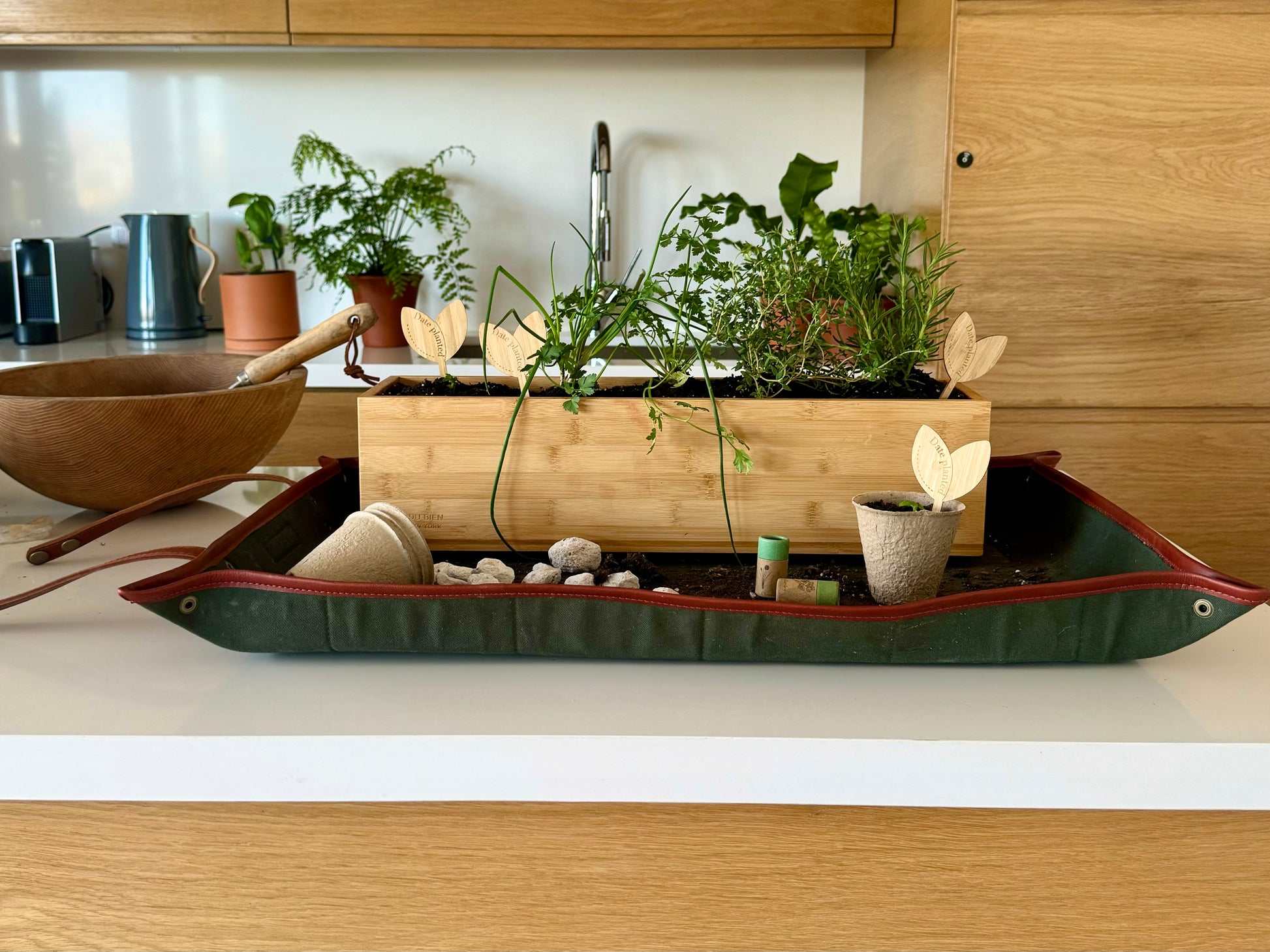 Fleur Du Bien indoor repotting mat 30x20 inch with leather trims, paired with the herb kit. Available in green, black, and gray. Perfect for all DIY gardening projects including watering herbs, adding soil, transplanting, dividing, sprouting, planting in growing pots, and keeping surfaces clean. No mess, no stress, ideal for indoor gardening, herb gardens, and eco-friendly plant care