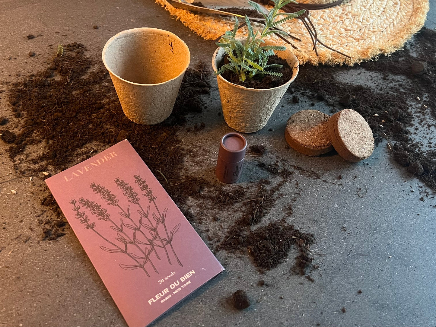 Lavender Planter Kit – Indoor Seed Starter Set to Grow Fragrant Lavender at Home – Sustainable Herb Garden Gift for All Ages