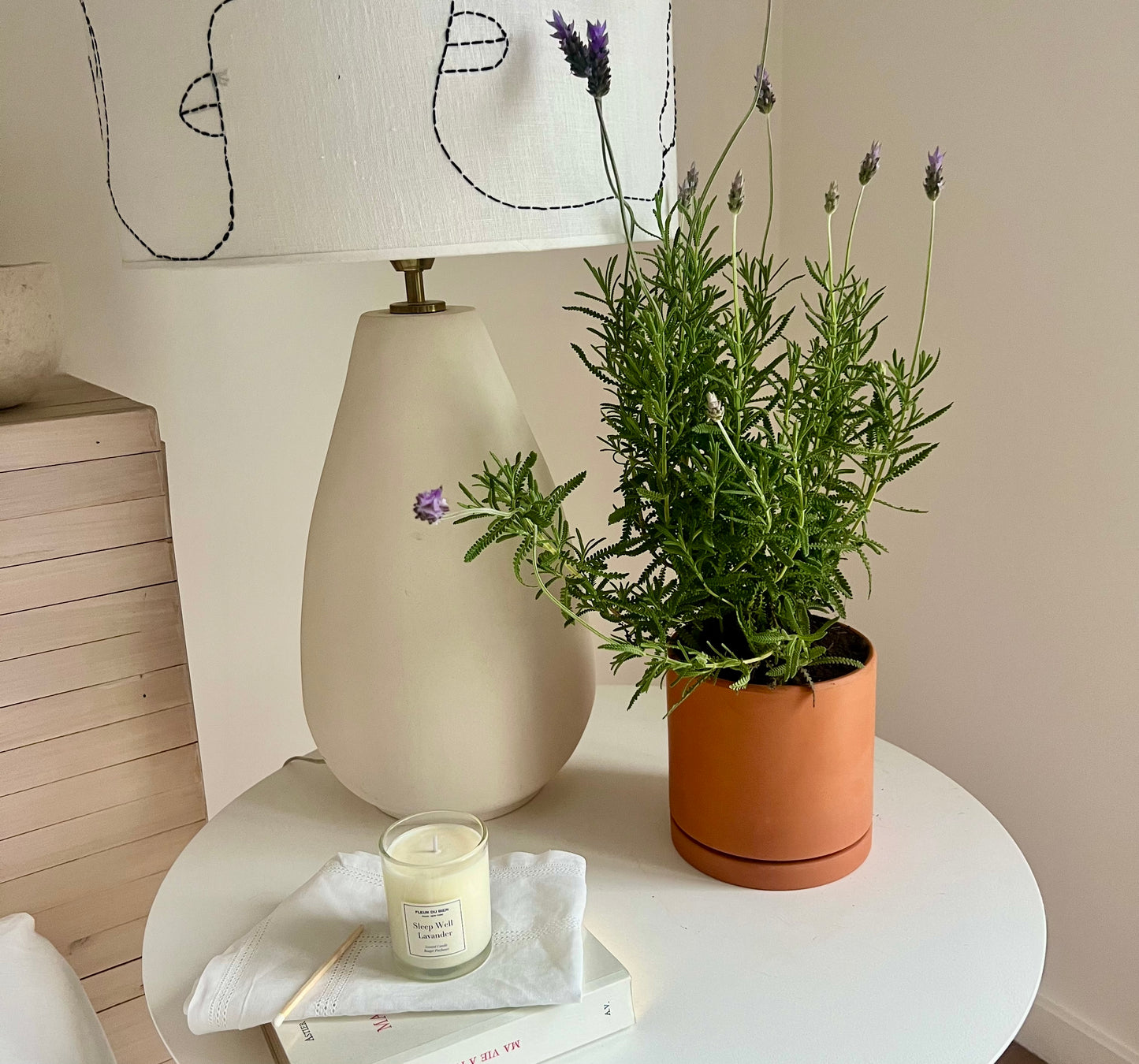 Lavender Planter Kit – Indoor Seed Starter Set to Grow Fragrant Lavender at Home – Sustainable Herb Garden Gift for All Ages