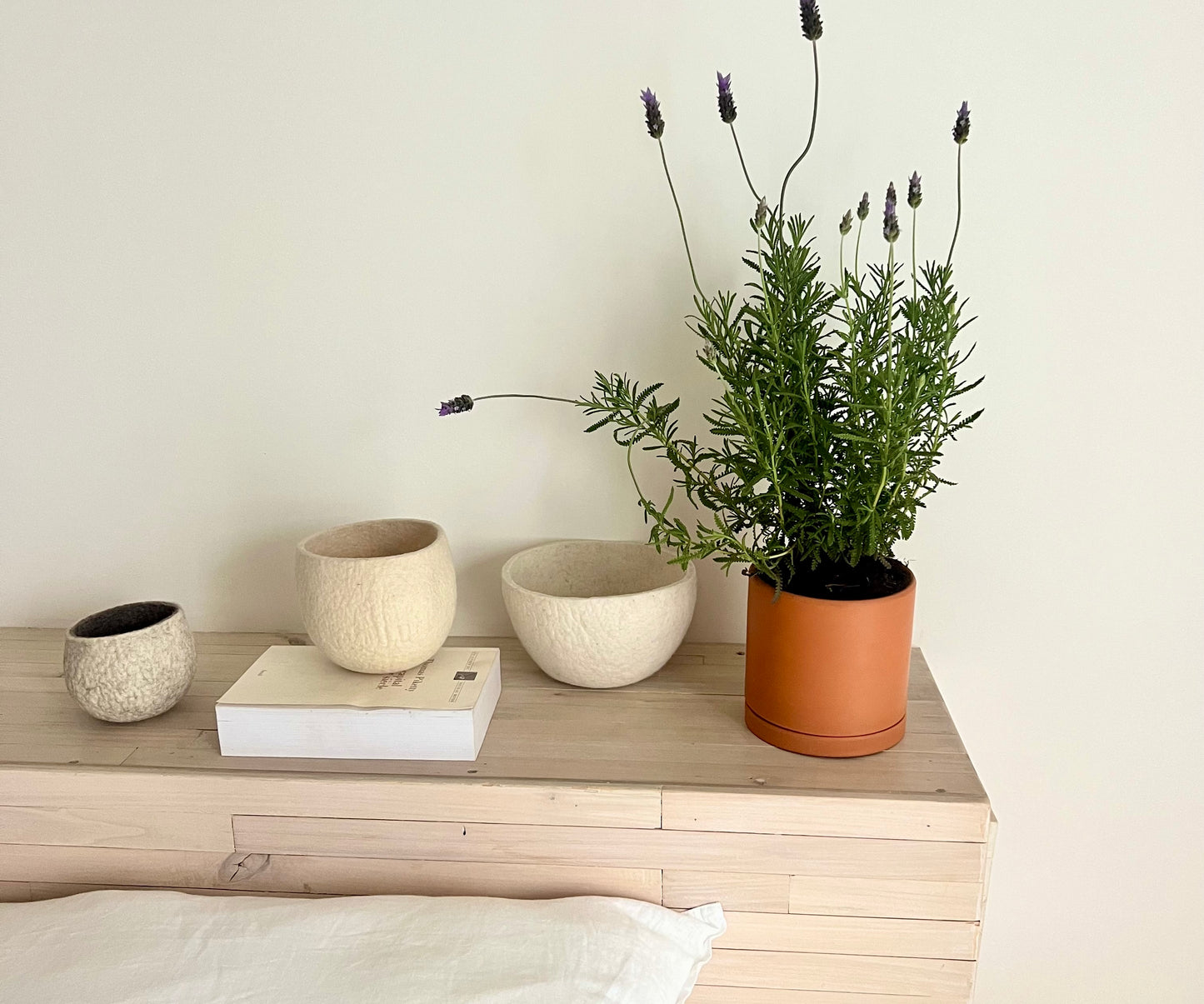 Lavender Planter Kit – Indoor Seed Starter Set to Grow Fragrant Lavender at Home – Sustainable Herb Garden Gift for All Ages