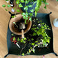 repotting mat gardening canvas water resistant mess control garden tools gardening tools gardening supplies
garden soil indoor garden
garden tool set indoor gardening repotting mat garden accessories garden supplies gardening pots garden tools gardening tools gardening supplies
garden soil indoor garden
garden tool set indoor gardening repotting mat garden accessories garden supplies gardening pots, planters & accessories repotting mat for indoor plants vegetable garden garden fork outdoor garden gardening 
