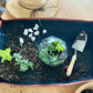 repotting mat gardening canvas water resistant mess control garden tools gardening tools gardening supplies
garden soil indoor garden
garden tool set indoor gardening repotting mat garden accessories garden supplies gardening pots garden tools gardening tools gardening supplies
garden soil indoor garden
garden tool set indoor gardening repotting mat garden accessories garden supplies gardening pots, planters & accessories repotting mat for indoor plants vegetable garden garden fork outdoor garden gardening 