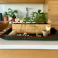 repotting mat gardening canvas water resistant mess control garden tools gardening tools gardening supplies
garden soil indoor garden
garden tool set indoor gardening repotting mat garden accessories garden supplies gardening pots garden tools gardening tools gardening supplies
garden soil indoor garden
garden tool set indoor gardening repotting mat garden accessories garden supplies gardening pots, planters & accessories repotting mat for indoor plants vegetable garden garden fork outdoor garden gardening 