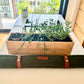 repotting mat gardening canvas water resistant mess control garden tools gardening tools gardening supplies
garden soil indoor garden
garden tool set indoor gardening repotting mat garden accessories garden supplies gardening pots garden tools gardening tools gardening supplies
garden soil indoor garden
garden tool set indoor gardening repotting mat garden accessories garden supplies gardening pots, planters & accessories repotting mat for indoor plants vegetable garden garden fork outdoor garden gardening 