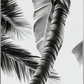 Coastal Mirage Framed Wall Art Prints Decorative Abstract Palm Tree Wall Art for Home Decor Nature Landscape Room Decor Living Room Bedroom
