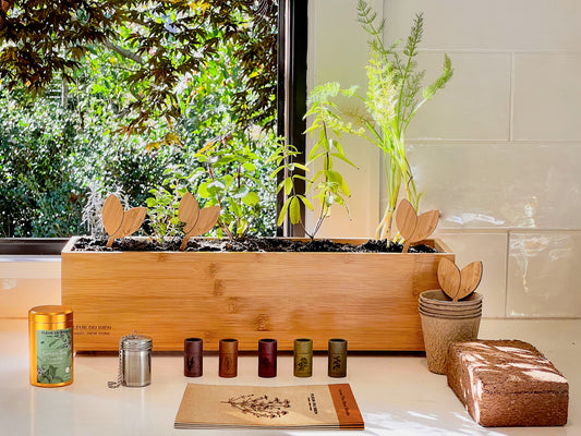 Fleur Du Bien Loose Leaf Green Tea Tin With Herb Garden Seeds Planter Kit Dragonwell Green Tea 5 Herbal Tea Seeds with Planter Tea Strainer