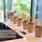 Grow your own herbs at home with Fleur Du Bien indoor gardening kit for family fun"