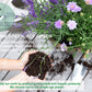 Eco-friendly herb seeds from US farmers, non-GMO, organic, recyclable materials, no single-use plastic. Herbs grown from seeds sourced from US farmers – non-GMO, organic, and carefully selected. Eco-friendly and sustainable, with fully recyclable materials and no single-use plastics