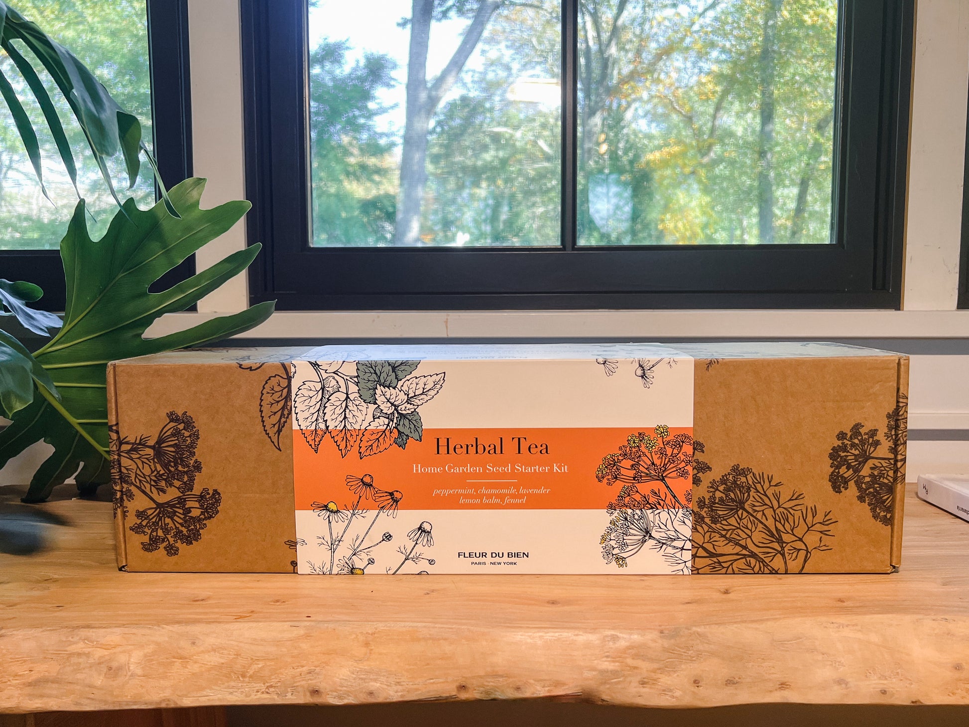 tea garden seed kit Fleur Du Bien Indoor Herbal Tea Garden & Loose Leaf Dragonwell Green Tea Kit – DIY Herbal Planter & Tea Set – FLEUR DU BIEN
