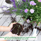 Eco-friendly herb seeds from the USA included in Fleur Du Bien Indoor Herb Garden Starter Kit with bamboo planter