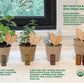 Mint, Chamomile, Lemon Balm, Lavender, and Thyme seeds included for DIY indoor herb garden and tea infusions