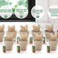Biodegradable pots, soil discs, and plant markers included in the indoor herb garden kit