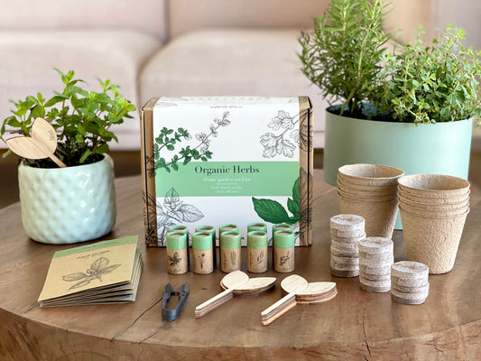 FLEUR DU BIEN Indoor Herb Garden Starter Kit, 6 Gardening Seed Pack with Plant Markers, Growing pots, Soil Discs