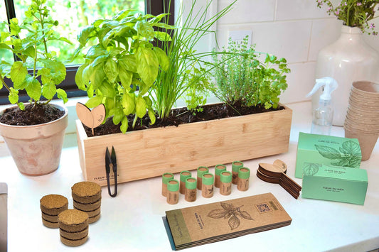 FLEUR DU BIEN Organic Indoor Herb Garden Kit With Planter, 6 Herb Seed Packs, Window Gardening Set Plant Marker, Biodegradable Growing Pots, Soil Disc