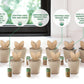 FLEUR DU BIEN Organic Indoor Herb Garden Kit With Planter, 6 Herb Seed Packs, Window Gardening Set Plant Marker, Biodegradable Growing Pots, Soil Disc